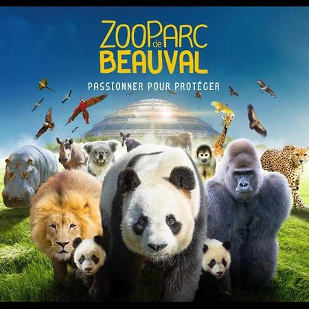 Gite Souai Et Zen , 5 Mn Du Zooparc De Beauval Сент-Эньян Экстерьер фото
